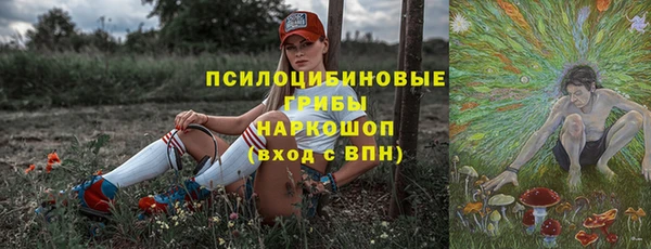 бошки Абаза