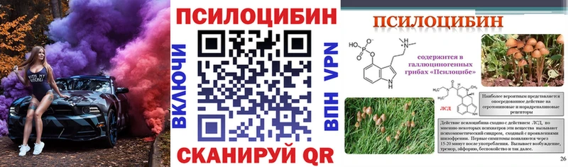 закладки  Судогда  Галлюциногенные грибы мухоморы 
